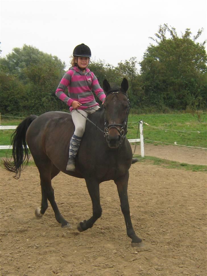 Mig og Twi - Gå den vej... HEH billede 11