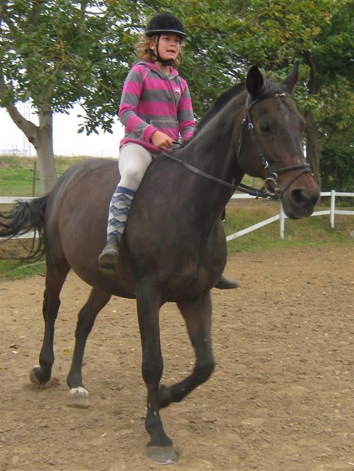 Mig og Twi - Mig og Twilight... billede 12