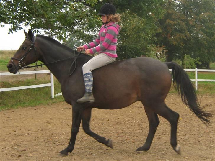 Mig og Twi - Mig og Twilight... billede 13