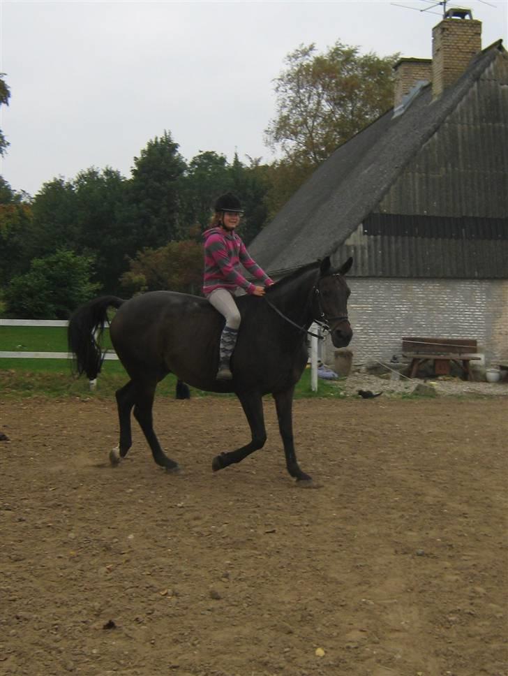 Mig og Twi - Mig og Twilight... billede 16