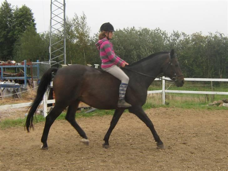 Mig og Twi - Mig og Twilight... billede 18