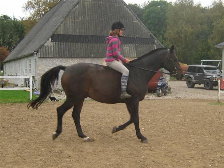 Mig og Twi - Mig og Twilight... billede 19