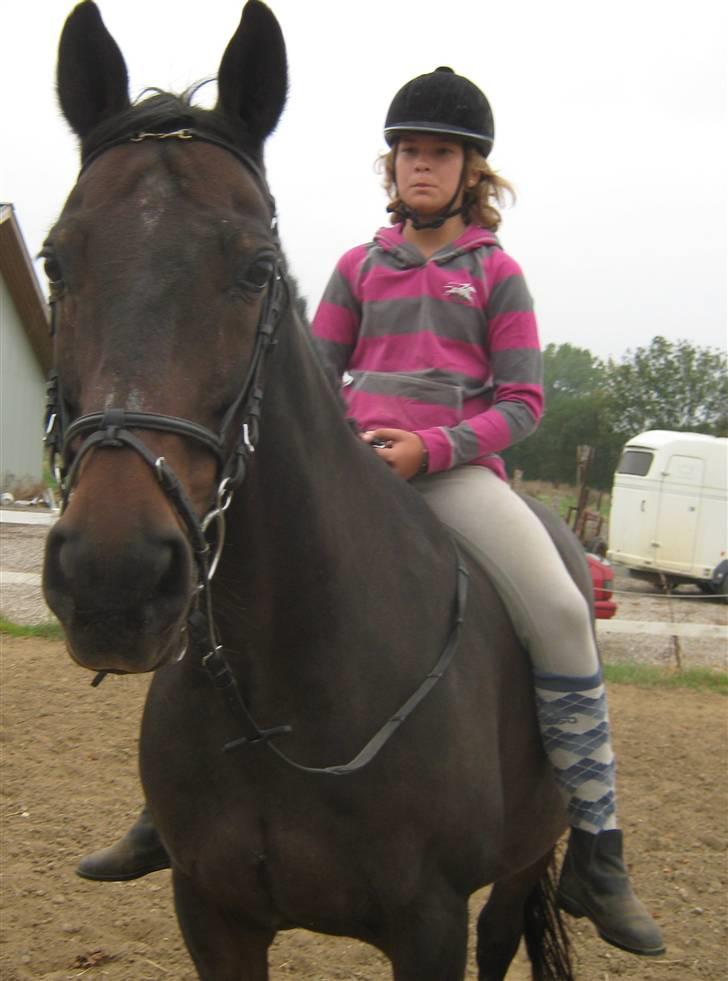 Mig og Twi - Appelsin Twilight... billede 20