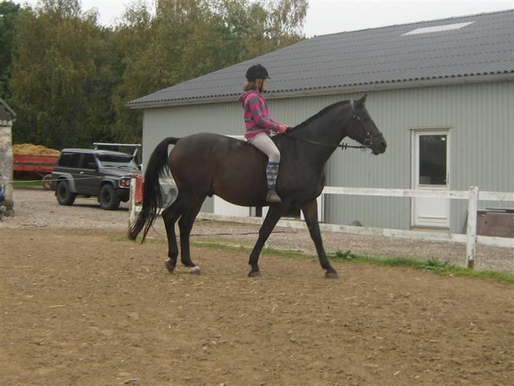 Mig og Twi - Miig og Twilight... billede 26