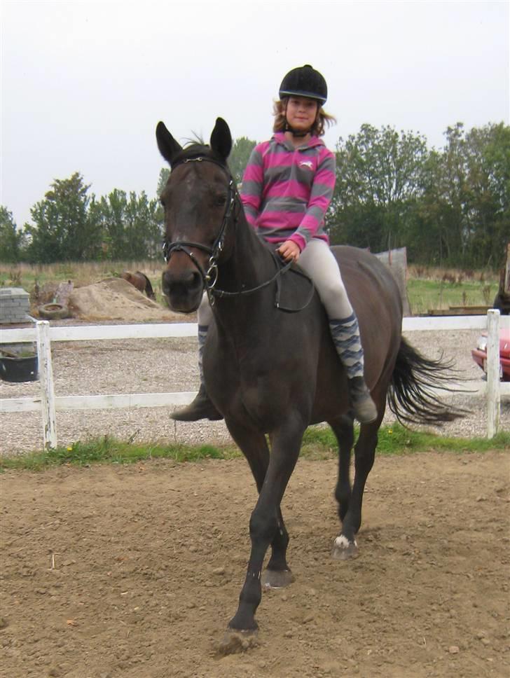 Mig og Twi - Appelsin Twilight...
 billede 27