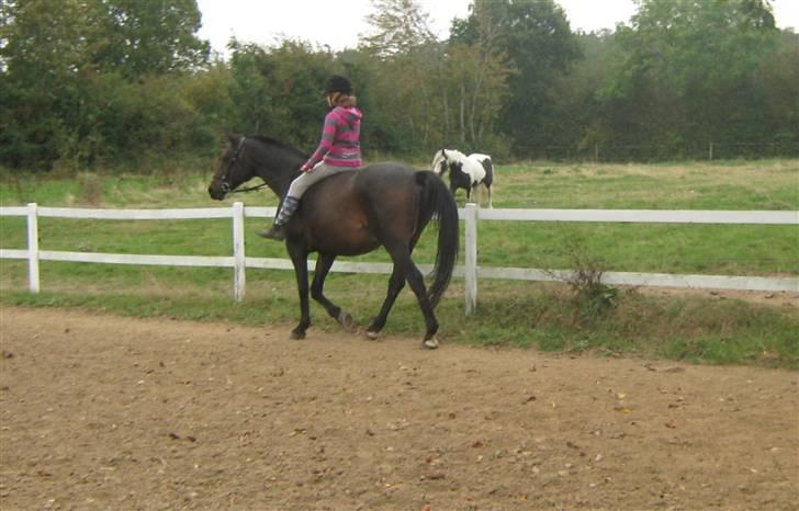 Mig og Twi - Miig og Twilight... billede 31