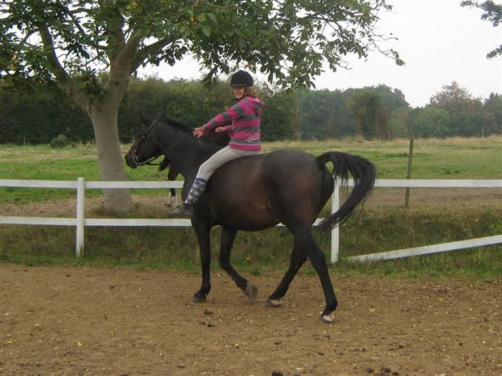 Mig og Twi - Miig og Twilight... billede 32