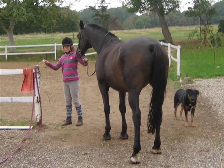 Mig og Twi - Kom så... billede 3