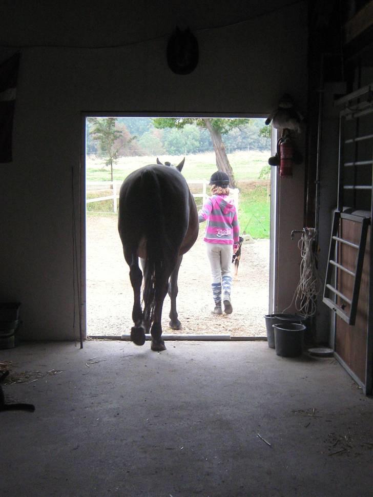 Mig og Twi - 
Kom så... billede 1