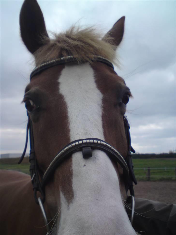 Min bedste veninde <3 - -Er jeg på?? billede 14