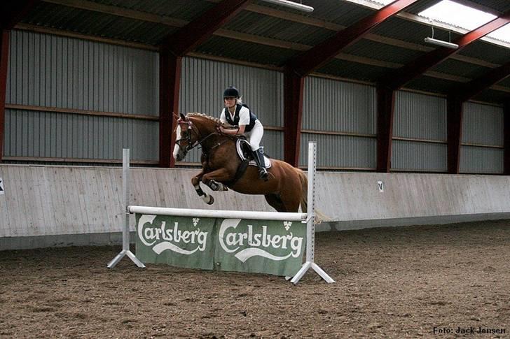 Mille Rasmussen og Tirana billede 2