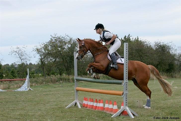 Mille Rasmussen og Tirana billede 3