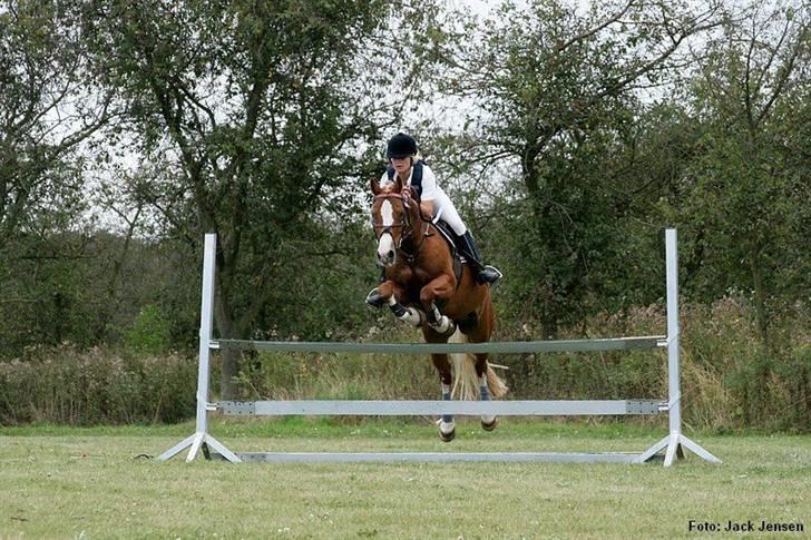 Mille Rasmussen og Tirana billede 4