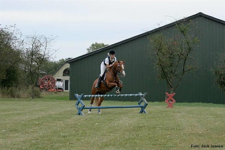 Mille Rasmussen og Tirana billede 5
