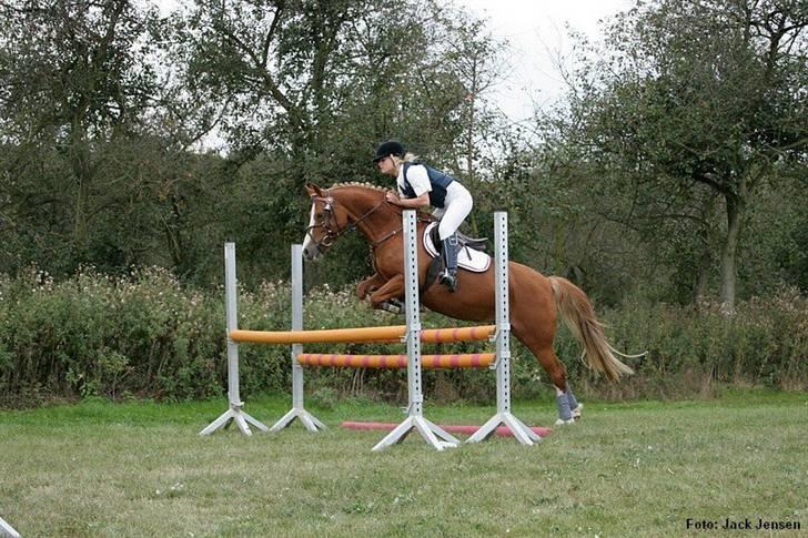 Mille Rasmussen og Tirana billede 6