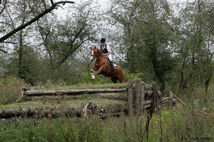 Mille Rasmussen og Tirana billede 7