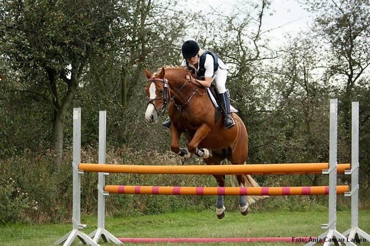 Mille Rasmussen og Tirana billede 1