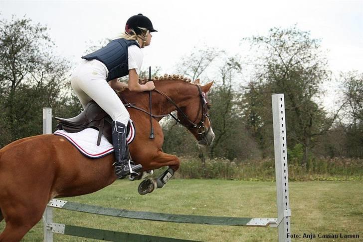 Mille Rasmussen og Tirana billede 8