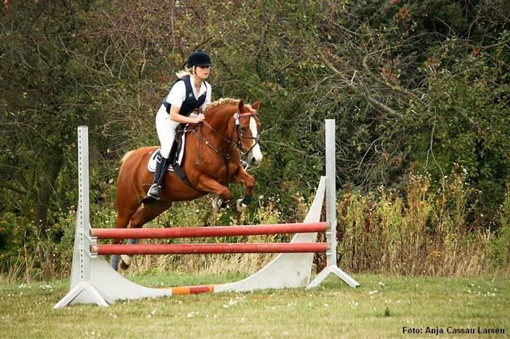 Mille Rasmussen og Tirana billede 10