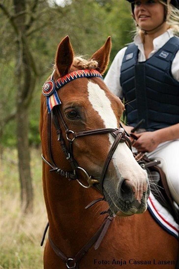 Mille Rasmussen og Tirana billede 12