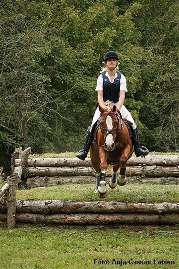 Mille Rasmussen og Tirana billede 13