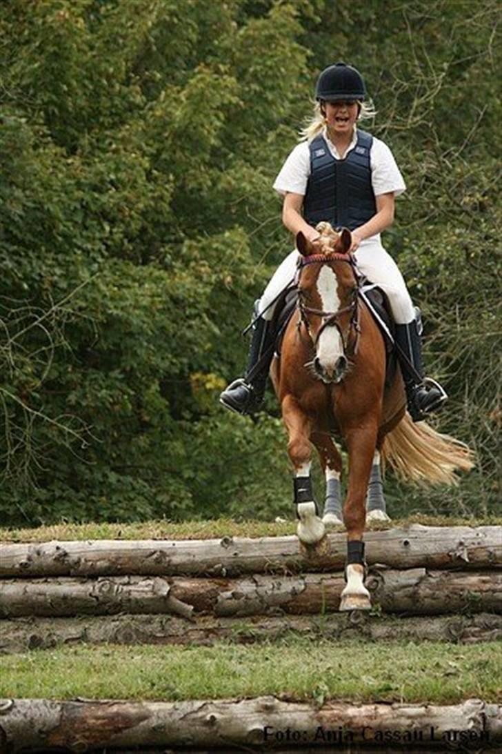 Mille Rasmussen og Tirana billede 14