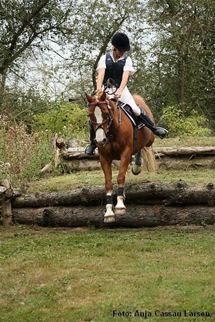 Mille Rasmussen og Tirana billede 15