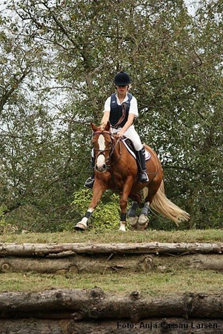 Mille Rasmussen og Tirana billede 16