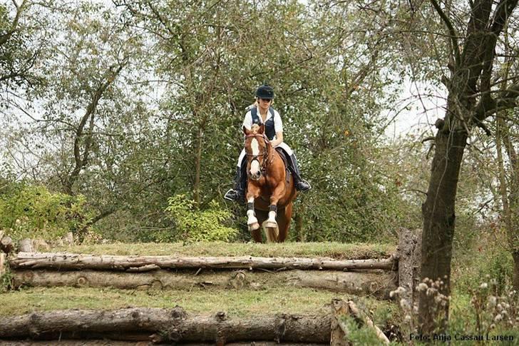 Mille Rasmussen og Tirana billede 17