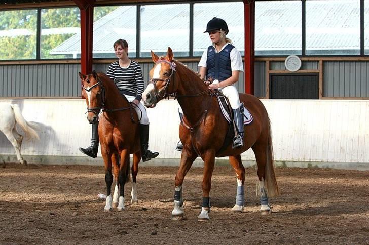 Mille Rasmussen og Tirana billede 18