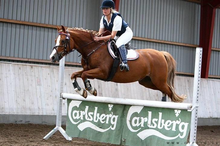 Mille Rasmussen og Tirana billede 19