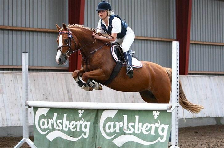 Mille Rasmussen og Tirana billede 20