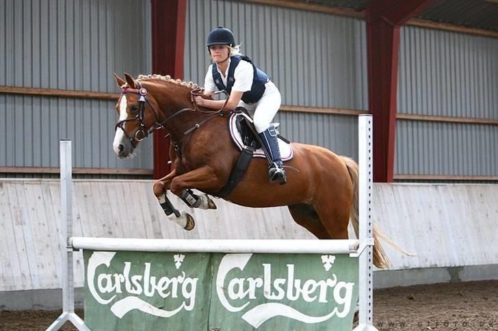 Mille Rasmussen og Tirana billede 21