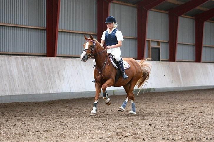 Mille Rasmussen og Tirana billede 22