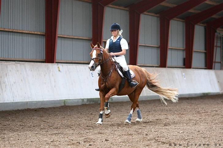 Mille Rasmussen og Tirana billede 23