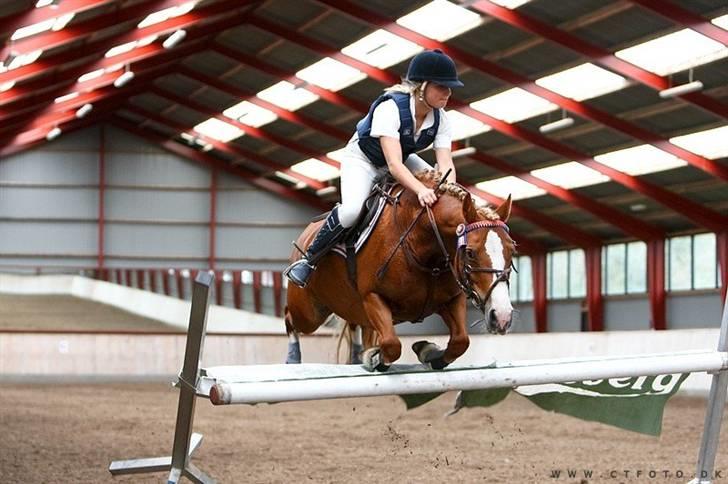 Mille Rasmussen og Tirana billede 24