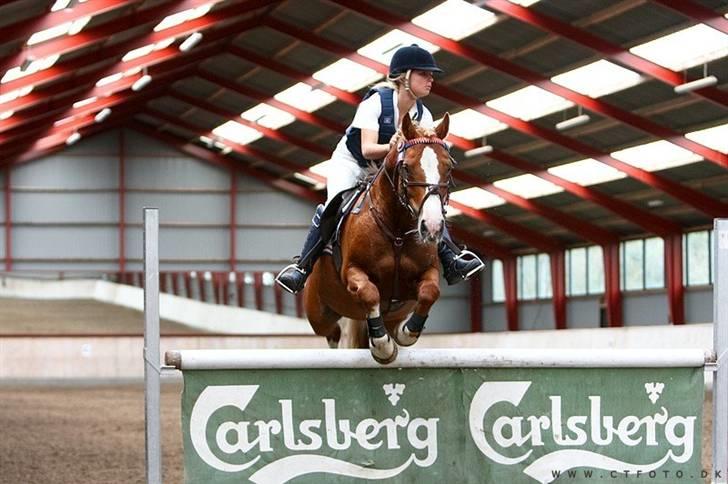 Mille Rasmussen og Tirana billede 25