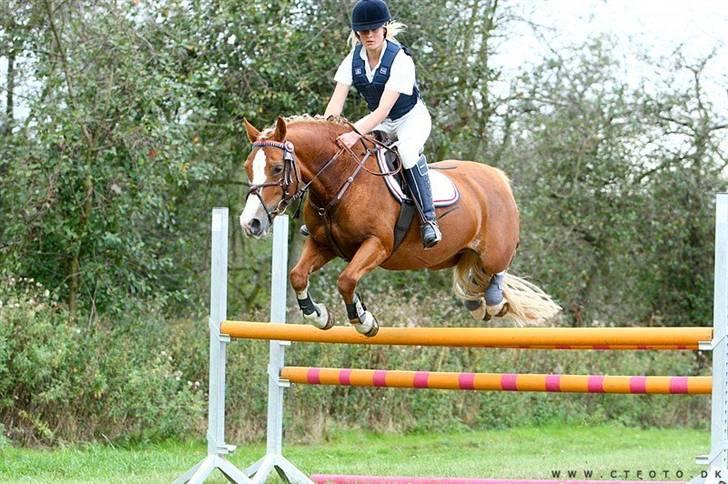 Mille Rasmussen og Tirana billede 26