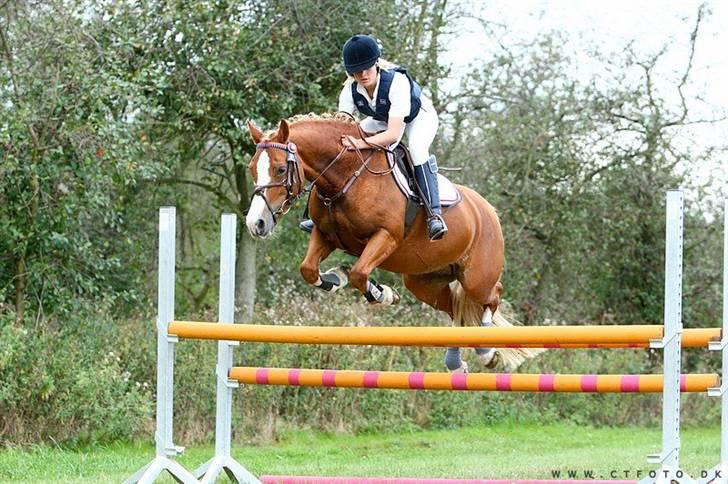 Mille Rasmussen og Tirana billede 27