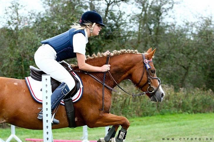 Mille Rasmussen og Tirana billede 28