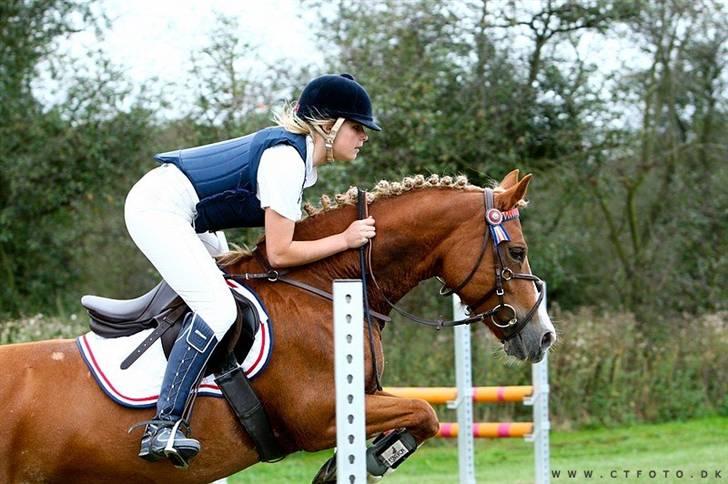 Mille Rasmussen og Tirana billede 29