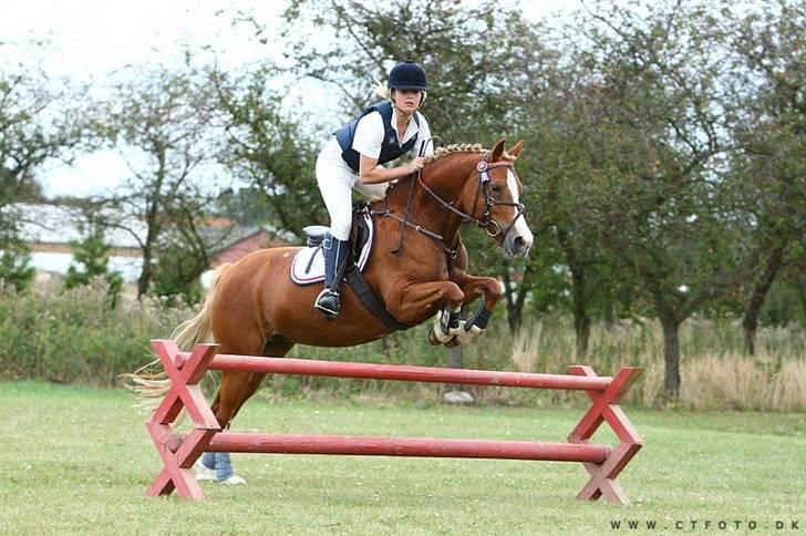 Mille Rasmussen og Tirana billede 30