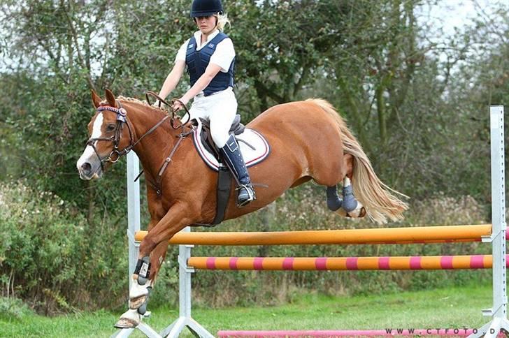 Mille Rasmussen og Tirana billede 33