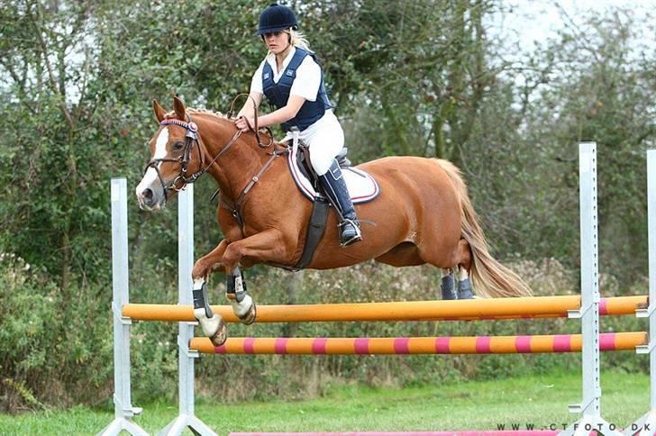 Mille Rasmussen og Tirana billede 34