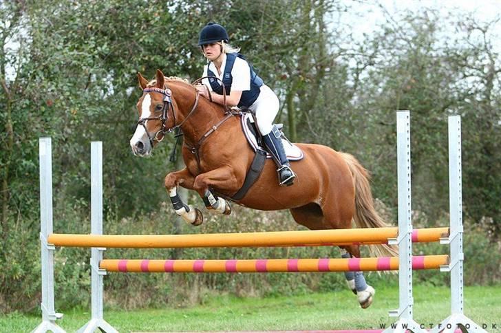 Mille Rasmussen og Tirana billede 35