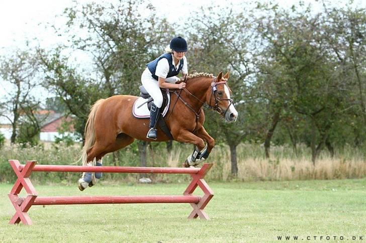 Mille Rasmussen og Tirana billede 37