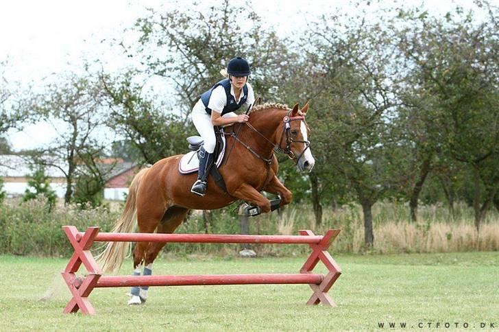 Mille Rasmussen og Tirana billede 38