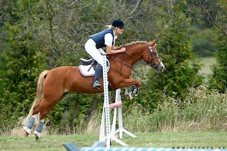 Mille Rasmussen og Tirana billede 39