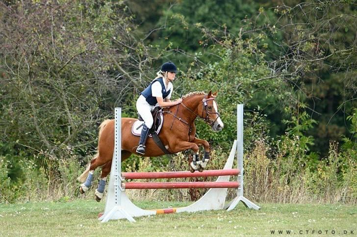 Mille Rasmussen og Tirana billede 40