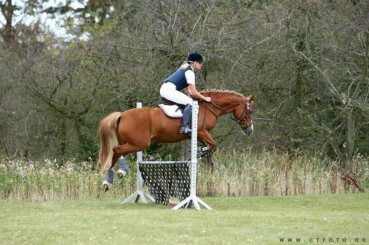 Mille Rasmussen og Tirana billede 42